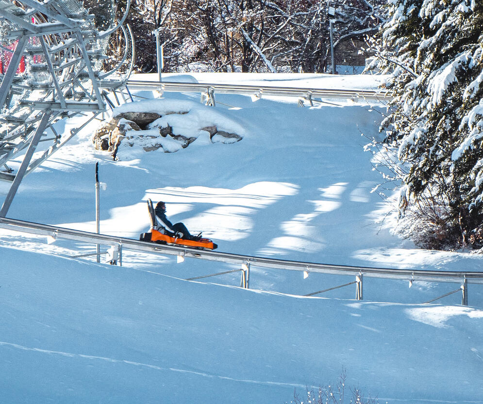 Luge 4 saisons Praloops © UT-Brendan Le Peru