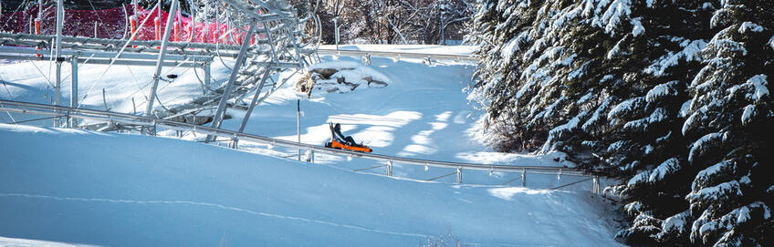 Luge 4 saisons Praloops © UT-Brendan Le Peru