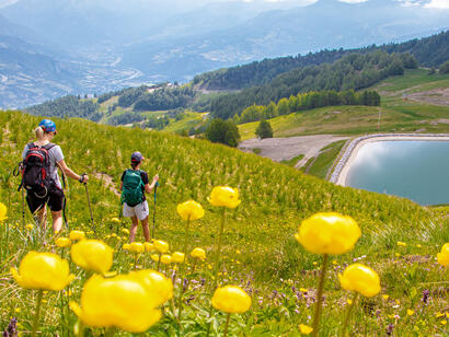 L'été en montagne