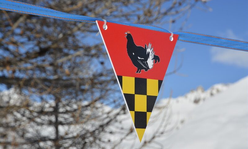 Ski de randonnée à Pra Loup, Ubaye, Mercantour, zone tétras
