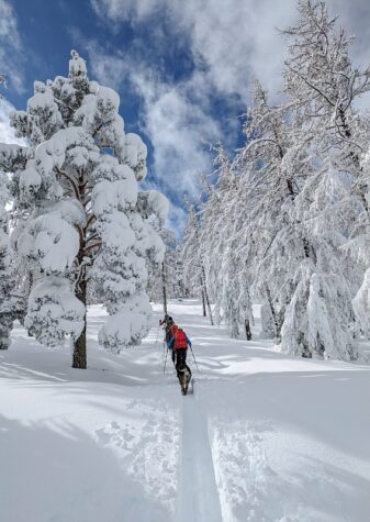 Ski de randonnée à Pra Loup, Ubaye, Mercantour