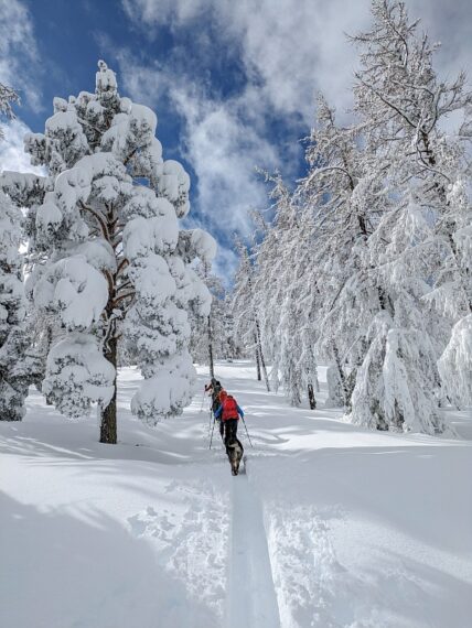 Ski de randonnée à Pra Loup, Ubaye, Mercantour