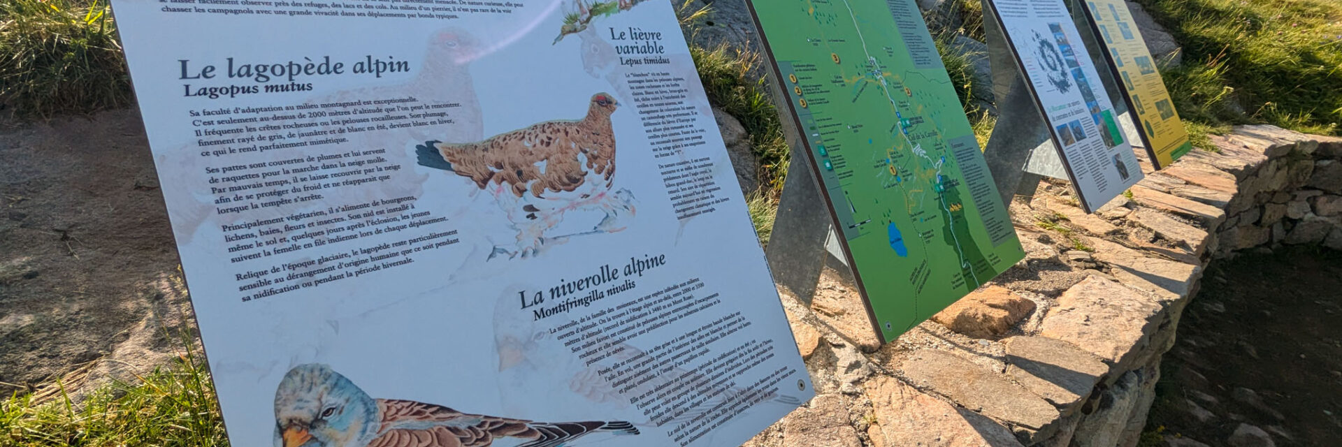 Col de la Cayolle, Mercantour, Ubaye, Pra Loup
