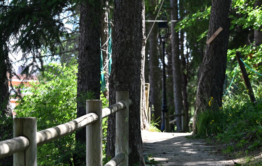 Pra Loup 1600 chemin en forêt
