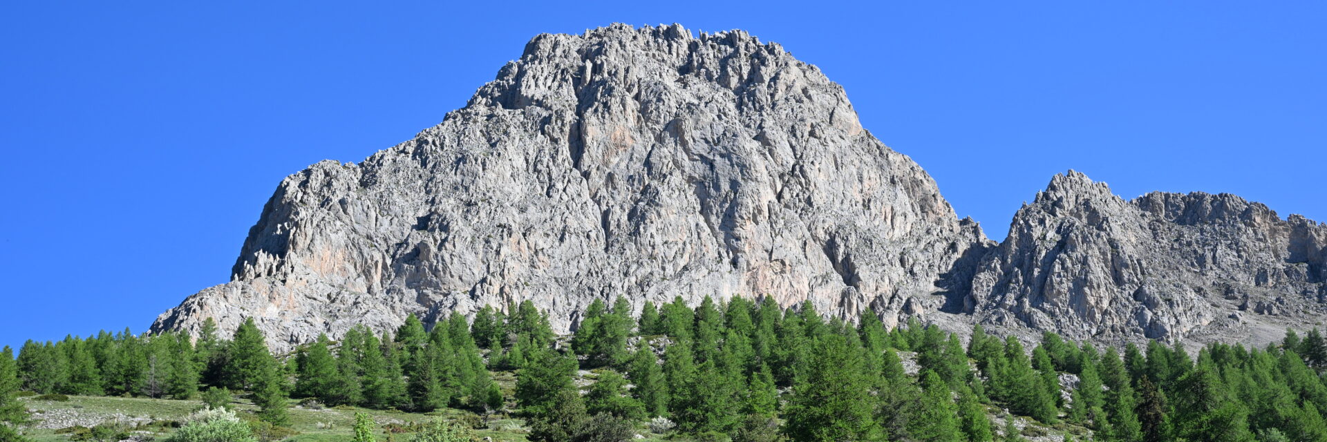 Clo de la cloche Pra Loup