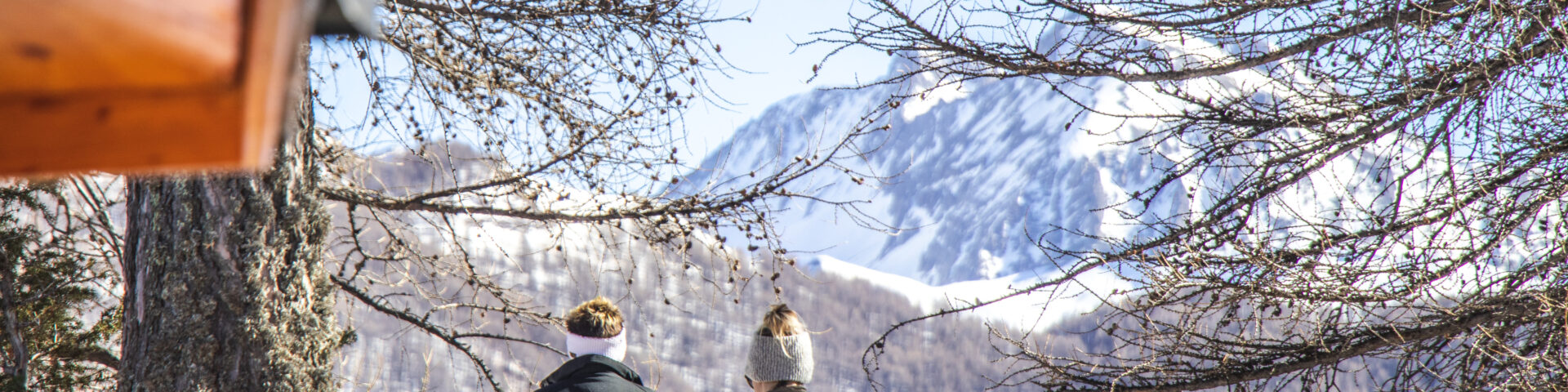 Raquettes hiver Pra Loup neige
