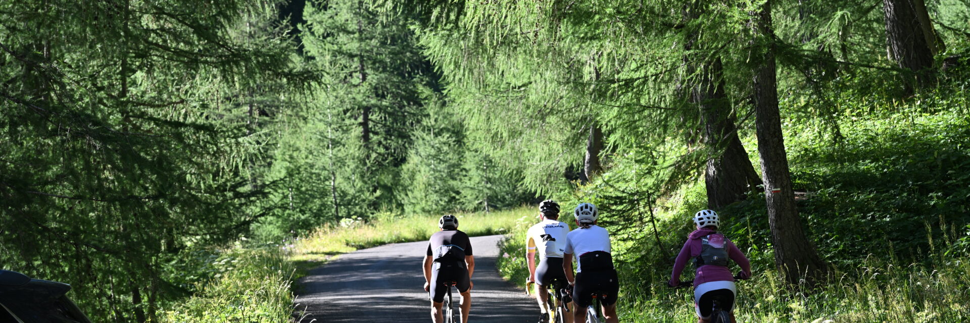 Col de la Cayolle Vélo de route Pra Loup Ubaye Mercantour