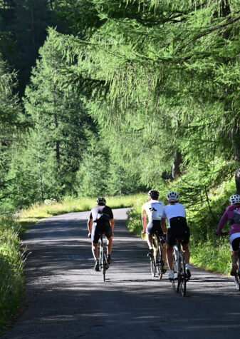 Col de la Cayolle Vélo de route Pra Loup Ubaye Mercantour